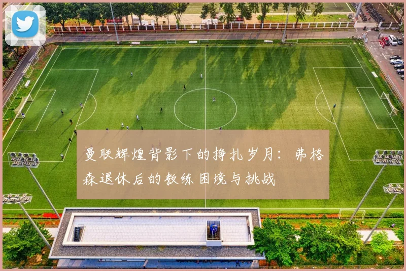 曼联辉煌背影下的挣扎岁月：弗格森退休后的教练困境与挑战