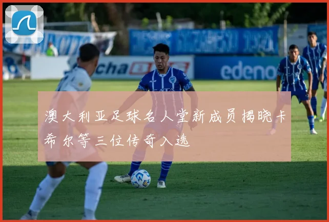 澳大利亚足球名人堂新成员揭晓卡希尔等三位传奇入选